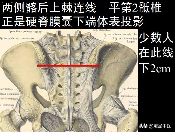 椎管解剖（高清大图）