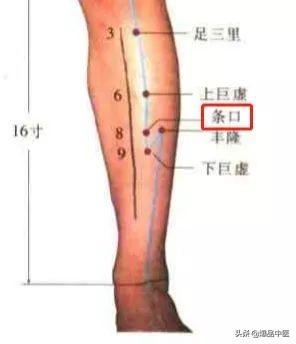 74个穴位，一学就会