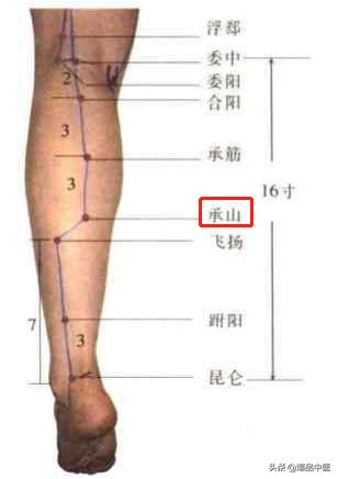 74个穴位，一学就会