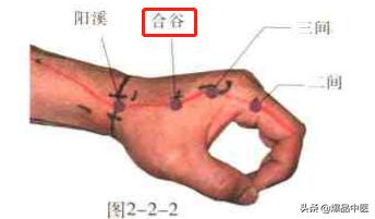 74个穴位，一学就会