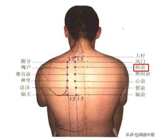 74个穴位，一学就会