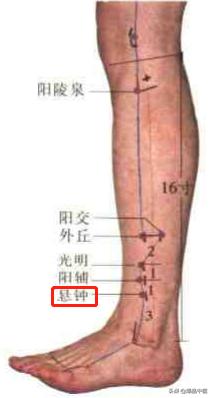 74个穴位，一学就会