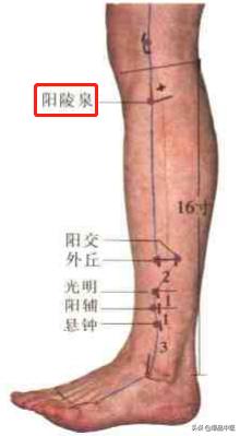 74个穴位，一学就会