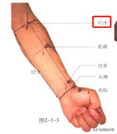 74个穴位，一学就会