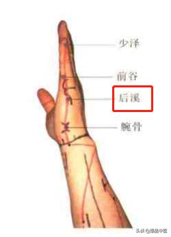 74个穴位，一学就会