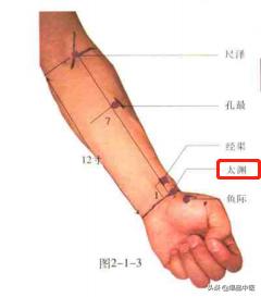 74个穴位，一学就会