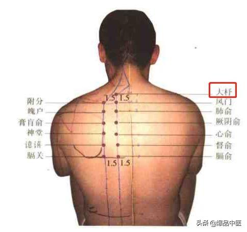 74个穴位，一学就会