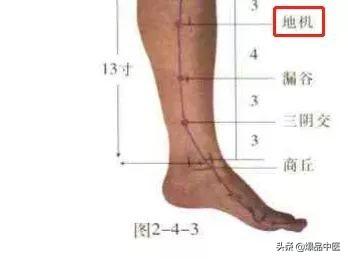 74个穴位，一学就会