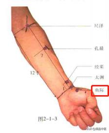 74个穴位，一学就会