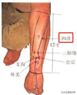 74个穴位，一学就会