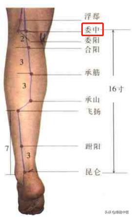 74个穴位，一学就会