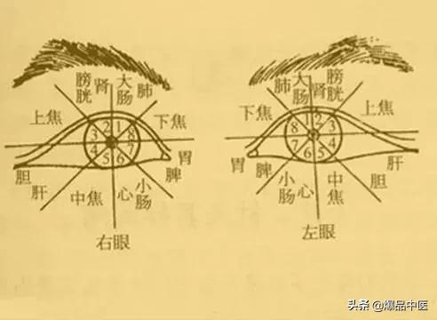 中医望诊版“易筋经”，很全面一看就明白