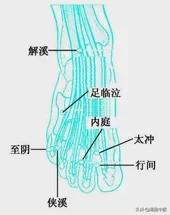 上病下治：18个上下对应而效用很好的穴位