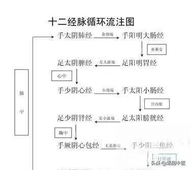 十二经筋（收藏版）