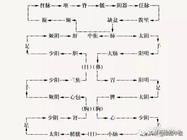 十二经筋（收藏版）