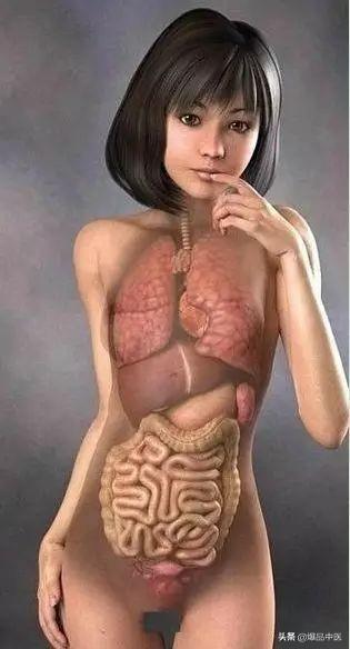 身体语言：腹部——情绪的涡流