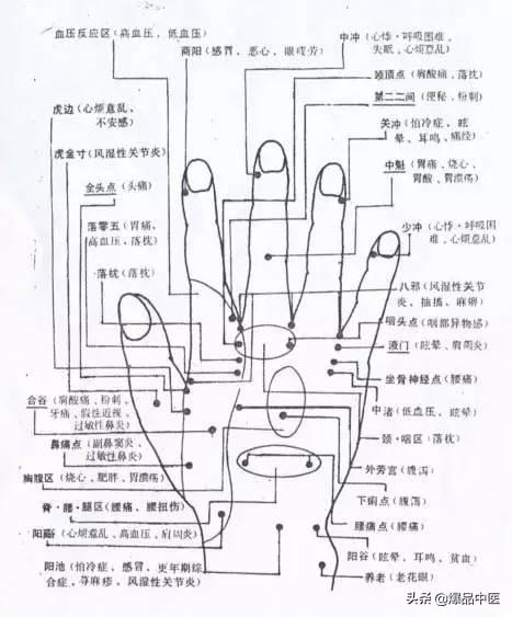 十个手指都是药——十指治病大全