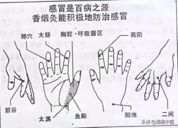 十个手指都是药——十指治病大全