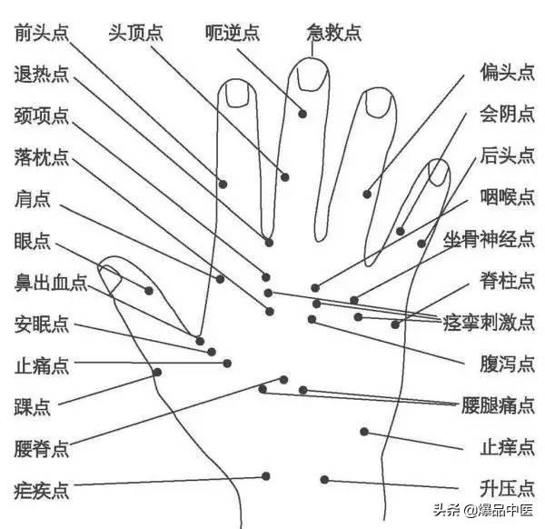 针灸的全息图谱