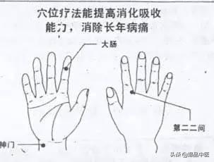 十个手指都是药——十指治病大全