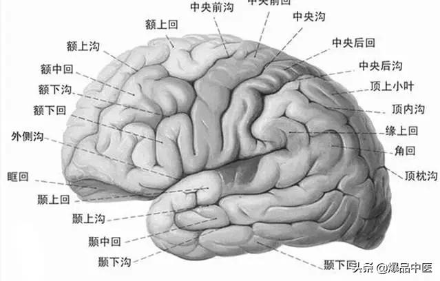 全身CT图谱