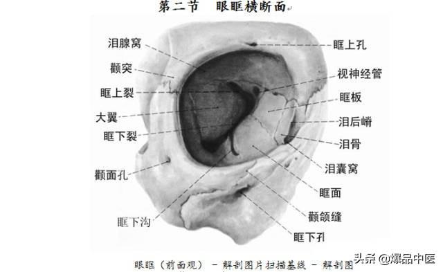 全身CT图谱