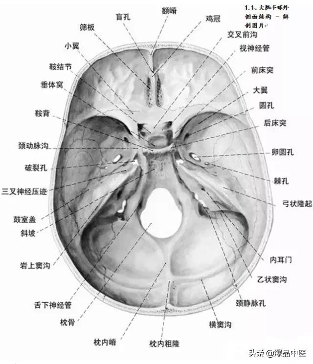 全身CT图谱