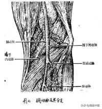 膝关节怎样触诊？