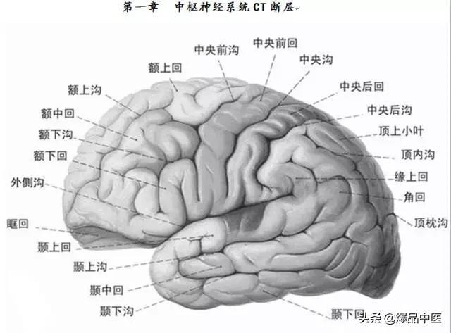 全身CT图谱