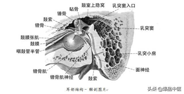 全身CT图谱