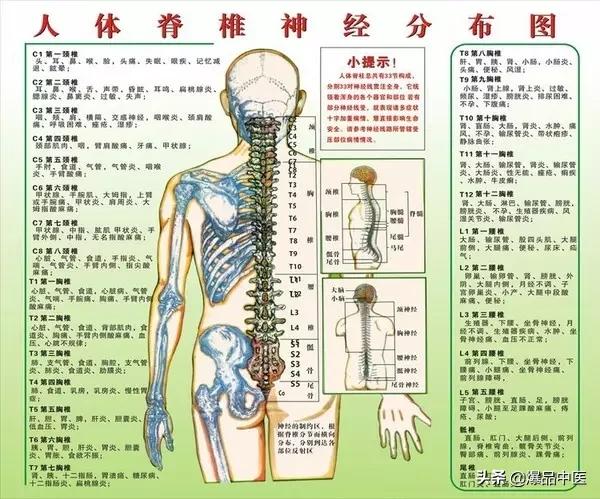 「珍藏」人体疾病与脊柱错位关系一览表