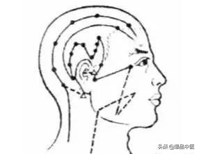 经络疗法治百病！(高清动图)