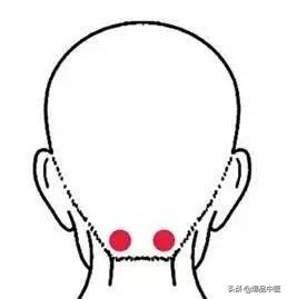 经络疗法治百病！(高清动图)