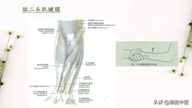 干货 | 手麻的辨构诊断