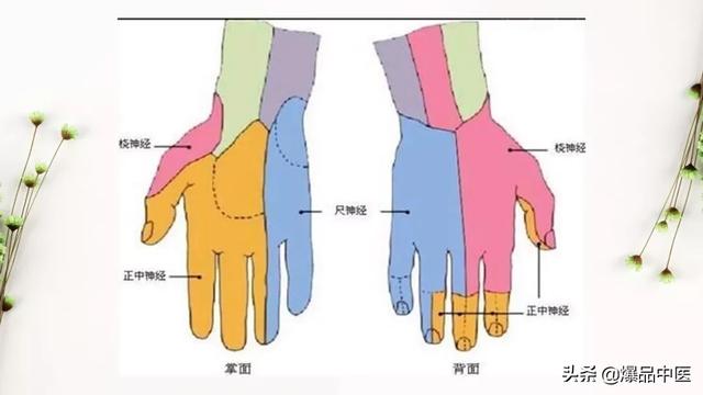 干货 | 手麻的辨构诊断