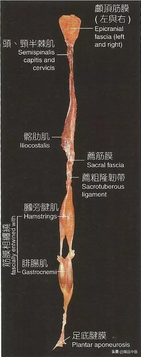 解剖列车精要分享，深度好文，速转珍藏