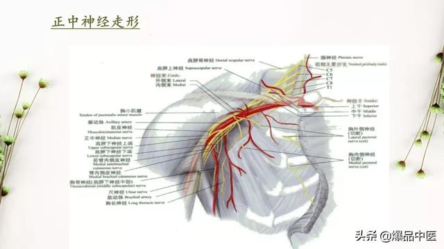 干货 | 手麻的辨构诊断