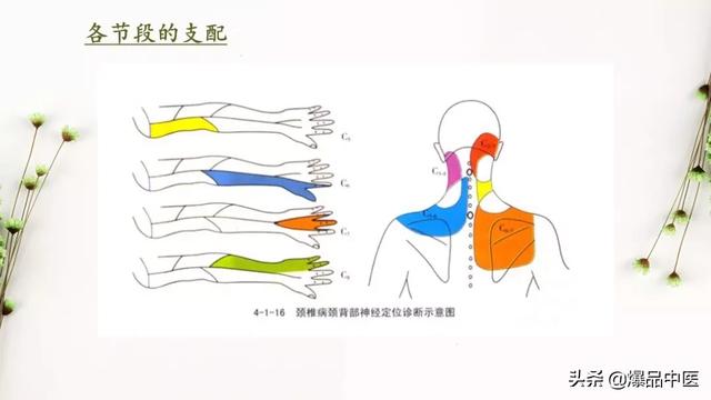 干货 | 手麻的辨构诊断