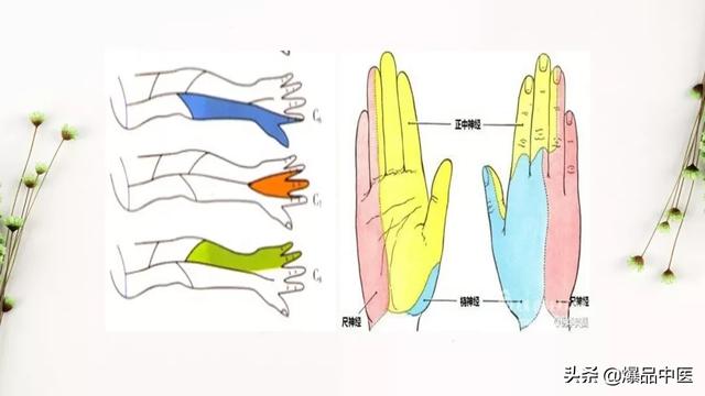 干货 | 手麻的辨构诊断