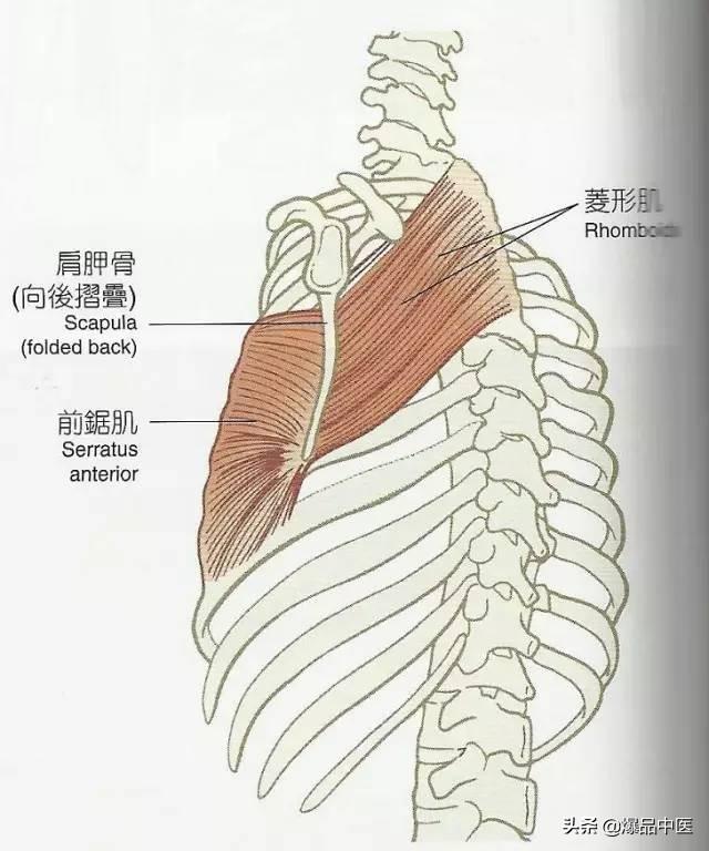 解剖列车精要分享，深度好文，速转珍藏