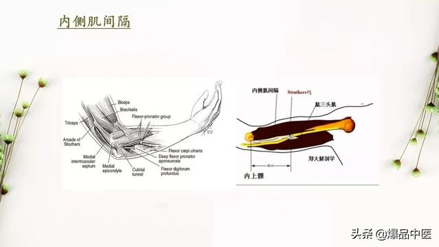 干货 | 手麻的辨构诊断