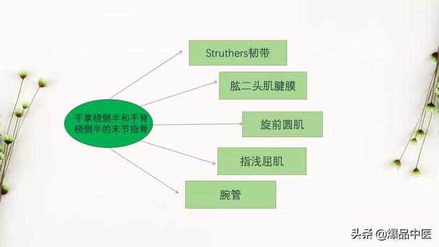 干货 | 手麻的辨构诊断