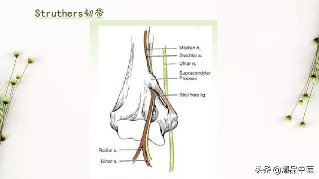 干货 | 手麻的辨构诊断