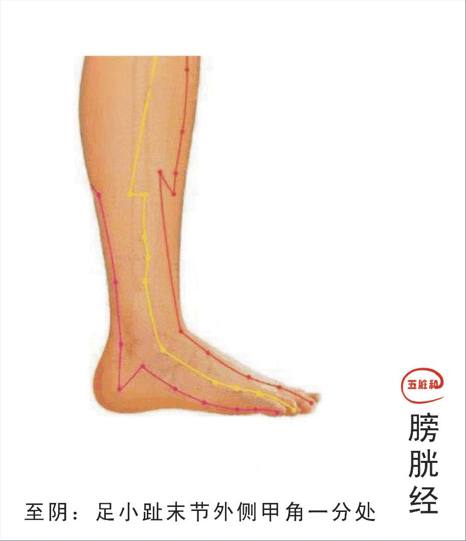 各种疼痛的针灸治疗穴位