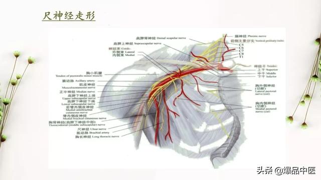 干货 | 手麻的辨构诊断