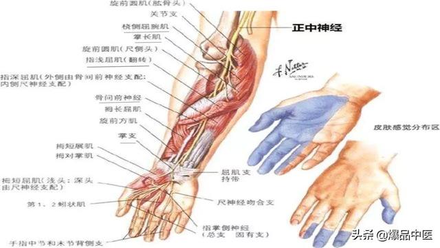 干货 | 手麻的辨构诊断