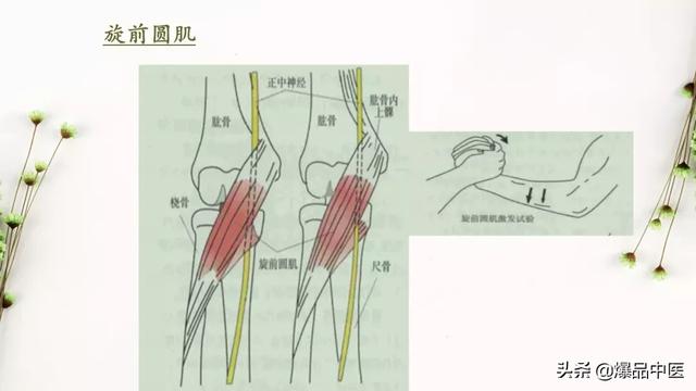 干货 | 手麻的辨构诊断