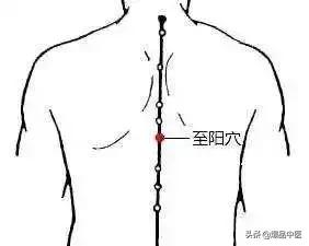 「绝招」39个单穴治病详解