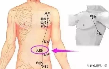 十二经络及其腧穴