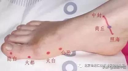 十二经络及其腧穴